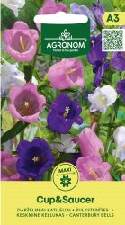 Canterbury Bells Cup and Saucer Mixed Seeds